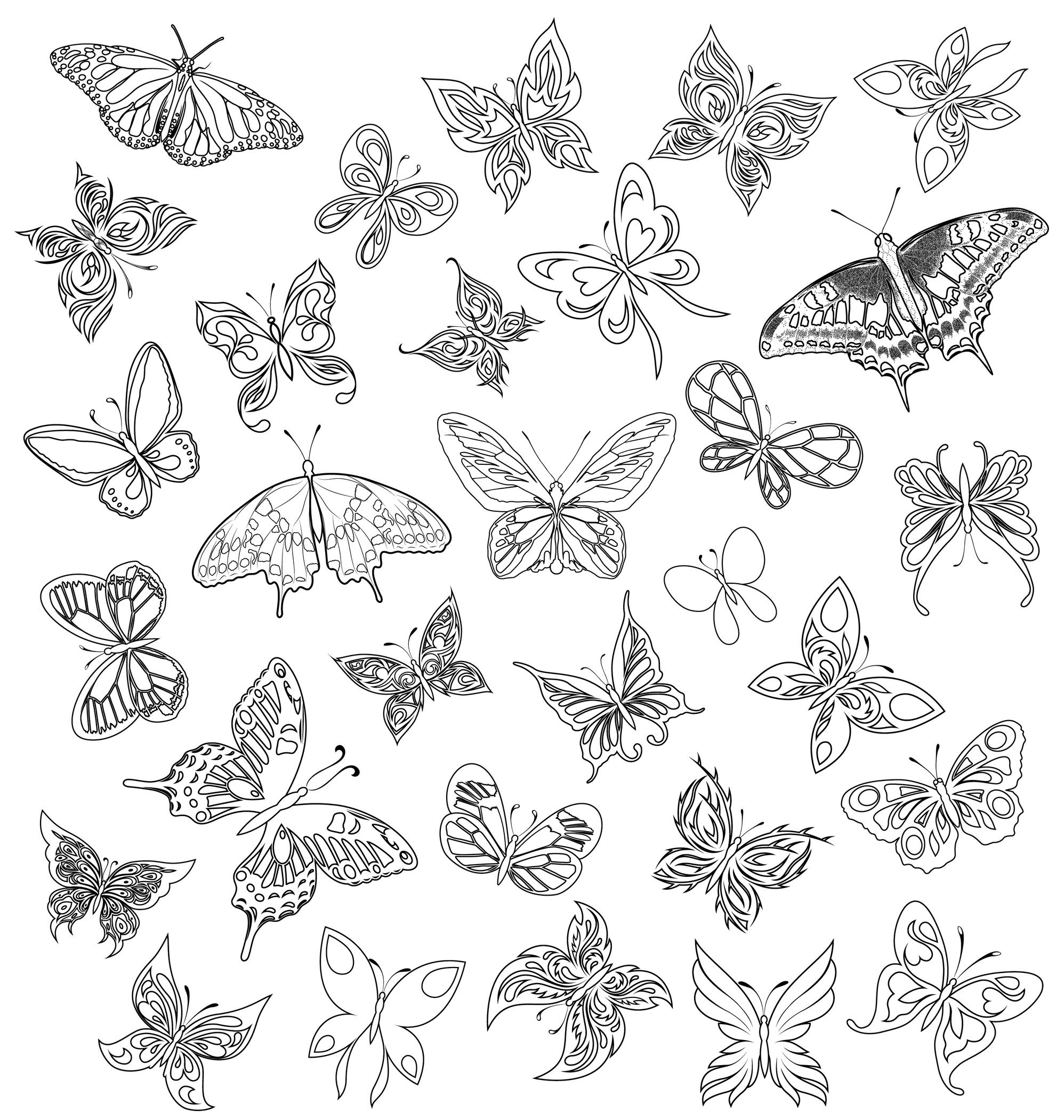 Coloriage adulte papillons