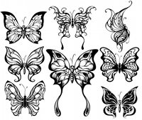 8 Papillons fÃ©eriques