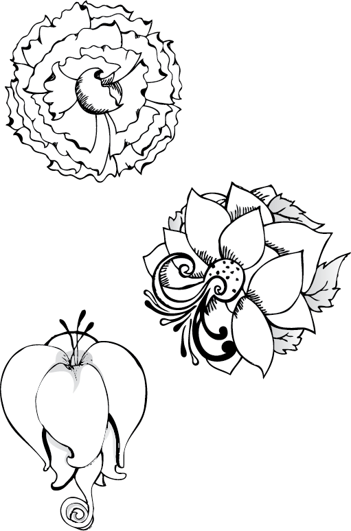 Coloriage Fleurs Pour Adulte